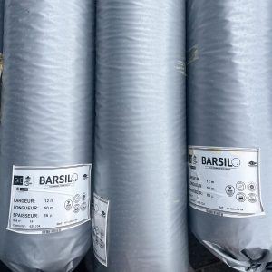 Barsilo